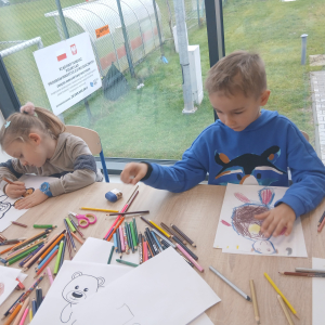 Dzień Misia w bibliotekach